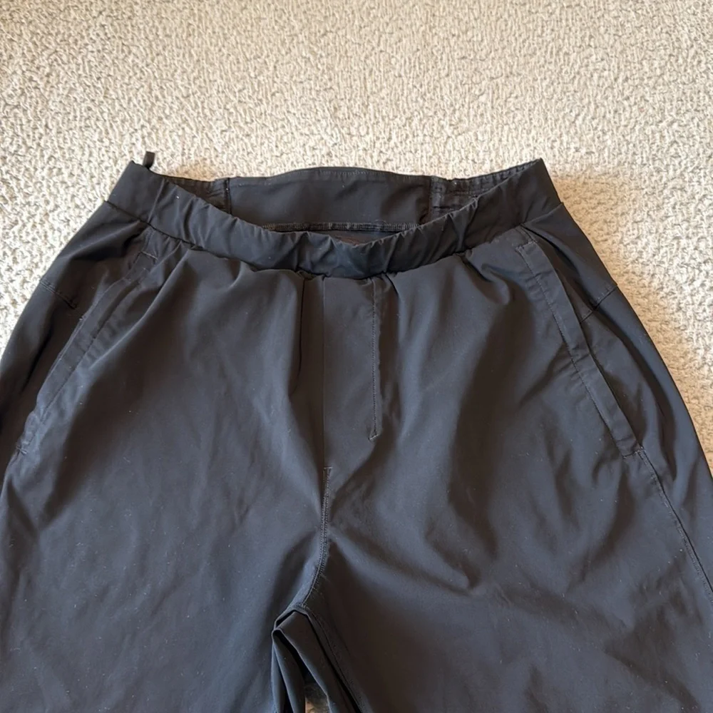 Lululemon Surge Jogger 29